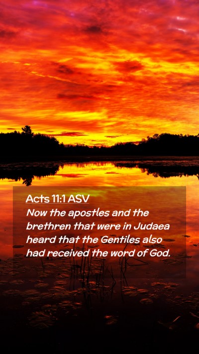 Picture 02 - Acts 11:1 ASV Mobile Phone Wallpaper - Now the apostles and the brethren that were in - Mobile Bible Verse Wallpaper