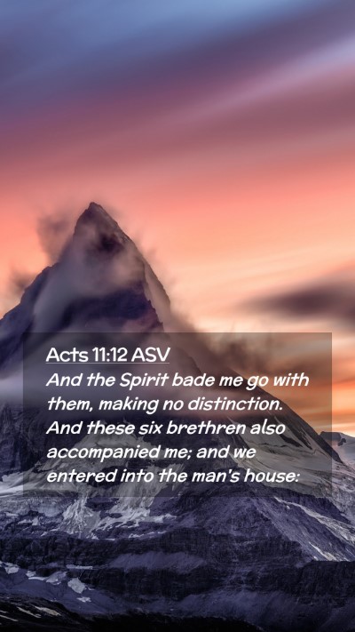 Picture 02 - Acts 11:12 ASV Mobile Phone Wallpaper - And the Spirit bade me go with them, making no - Mobile Bible Verse Wallpaper