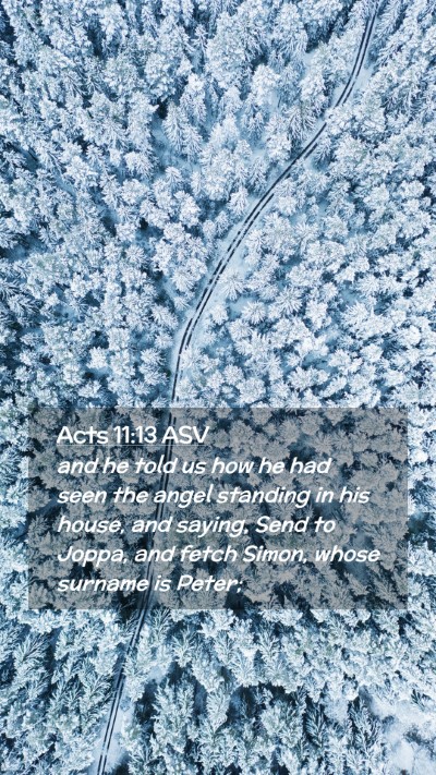 Picture 02 - Acts 11:13 ASV Mobile Phone Wallpaper - and he told us how he had seen the angel standing - Mobile Bible Verse Wallpaper