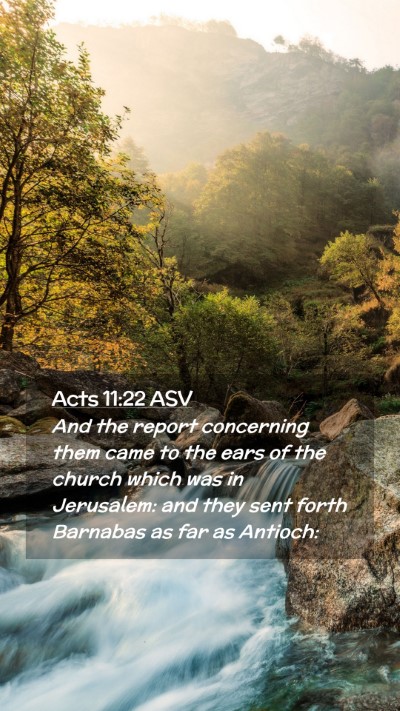 Picture 02 - Acts 11:22 ASV Mobile Phone Wallpaper - And the report concerning them came to the ears - Mobile Bible Verse Wallpaper