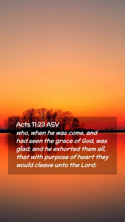 Picture 02 - Acts 11:23 ASV Mobile Phone Wallpaper - who, when he was come, and had seen the grace of - Mobile Bible Verse Wallpaper