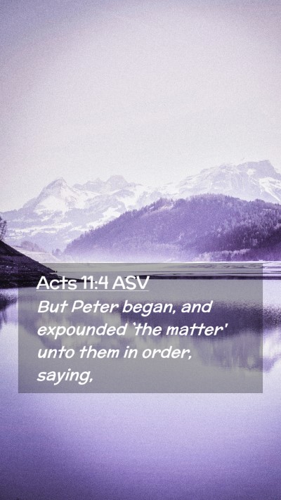 Picture 02 - Acts 11:4 ASV Mobile Phone Wallpaper - But Peter began, and expounded `the matter' unto - Mobile Bible Verse Wallpaper