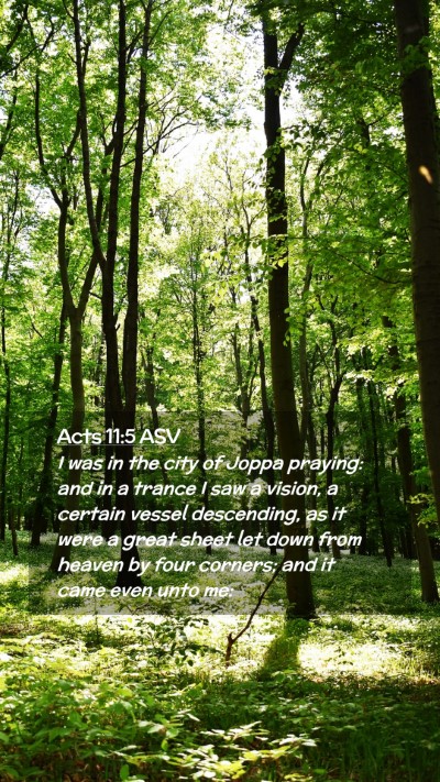 Picture 02 - Acts 11:5 ASV Mobile Phone Wallpaper - I was in the city of Joppa praying: and in a - Mobile Bible Verse Wallpaper