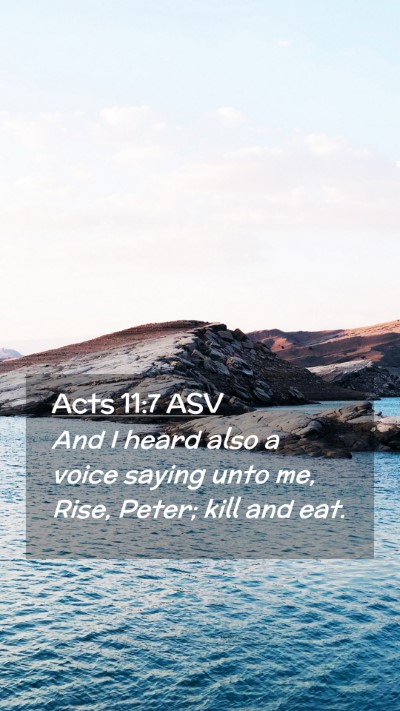 Picture 02 - Acts 11:7 ASV Mobile Phone Wallpaper - And I heard also a voice saying unto me, Rise, - Mobile Bible Verse Wallpaper