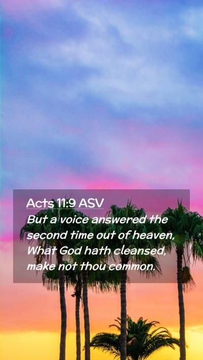 Picture 02 - Acts 11:9 ASV Mobile Phone Wallpaper - But a voice answered the second time out of - Mobile Bible Verse Wallpaper