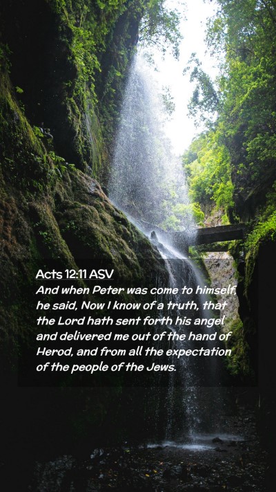 Picture 02 - Acts 12:11 ASV Mobile Phone Wallpaper - And when Peter was come to himself, he said, Now - Mobile Bible Verse Wallpaper