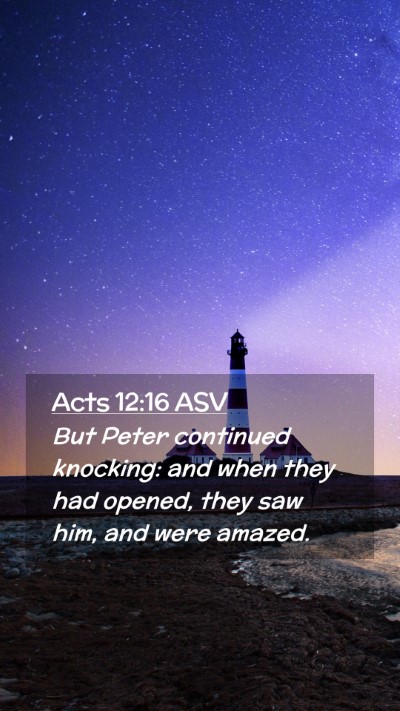 Picture 02 - Acts 12:16 ASV Mobile Phone Wallpaper - But Peter continued knocking: and when they had - Mobile Bible Verse Wallpaper