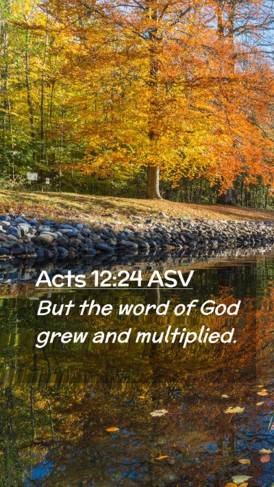Picture 02 - Acts 12:24 ASV Mobile Phone Wallpaper - But the word of God grew and - Mobile Bible Verse Wallpaper