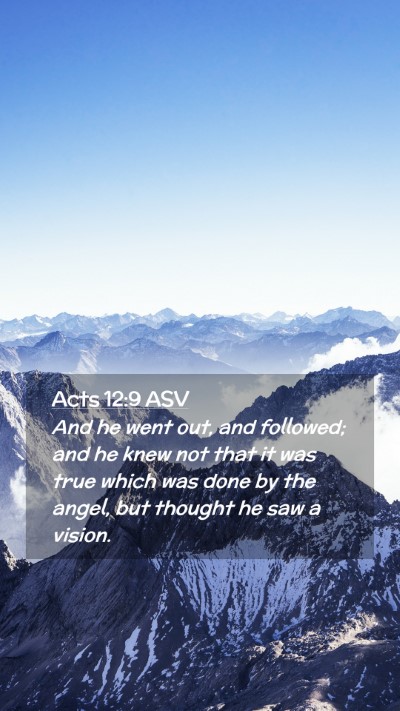 Picture 02 - Acts 12:9 ASV Mobile Phone Wallpaper - And he went out, and followed; and he knew not - Mobile Bible Verse Wallpaper