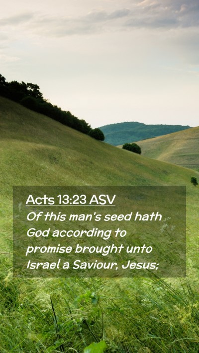 Picture 02 - Acts 13:23 ASV Mobile Phone Wallpaper - Of this man's seed hath God according to promise - Mobile Bible Verse Wallpaper