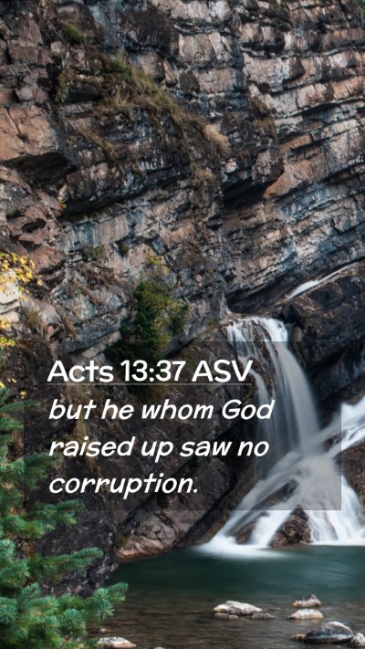 Picture 02 - Acts 13:37 ASV Mobile Phone Wallpaper - but he whom God raised up saw no - Mobile Bible Verse Wallpaper