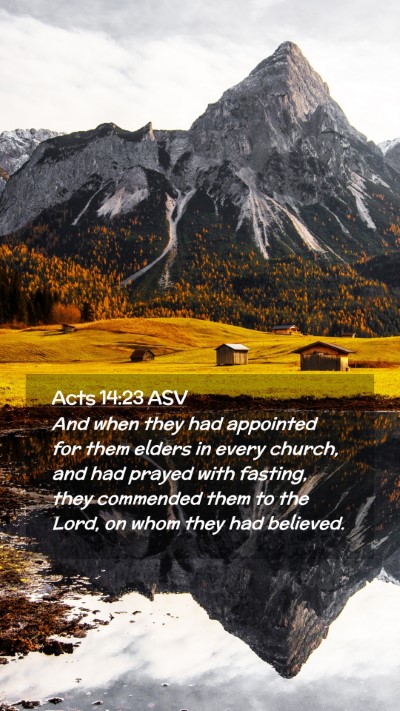 Picture 02 - Acts 14:23 ASV Mobile Phone Wallpaper - And when they had appointed for them elders in - Mobile Bible Verse Wallpaper