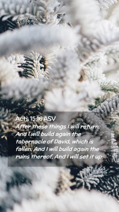 Picture 02 - Acts 15:16 ASV Mobile Phone Wallpaper - After these things I will return, And I will - Mobile Bible Verse Wallpaper