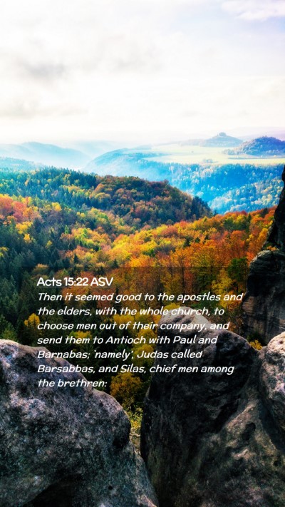 Picture 02 - Acts 15:22 ASV Mobile Phone Wallpaper - Then it seemed good to the apostles and the - Mobile Bible Verse Wallpaper