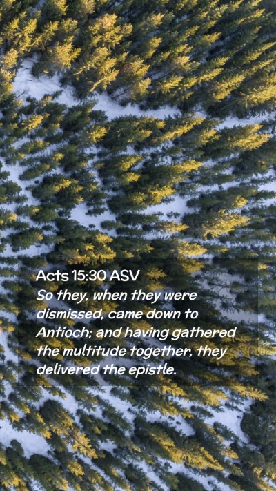 Picture 02 - Acts 15:30 ASV Mobile Phone Wallpaper - So they, when they were dismissed, came down to - Mobile Bible Verse Wallpaper