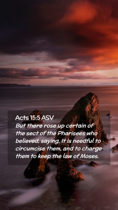 Picture 02 - Acts 15:5 ASV Mobile Phone Wallpaper - But there rose up certain of the sect of the - Mobile Bible Verse Wallpaper