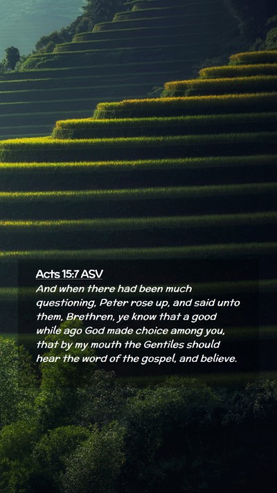 Picture 02 - Acts 15:7 ASV Mobile Phone Wallpaper - And when there had been much questioning, Peter - Mobile Bible Verse Wallpaper