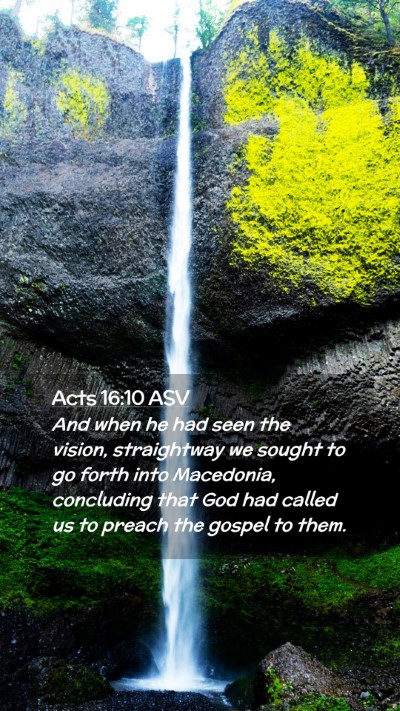 Picture 02 - Acts 16:10 ASV Mobile Phone Wallpaper - And when he had seen the vision, straightway we - Mobile Bible Verse Wallpaper