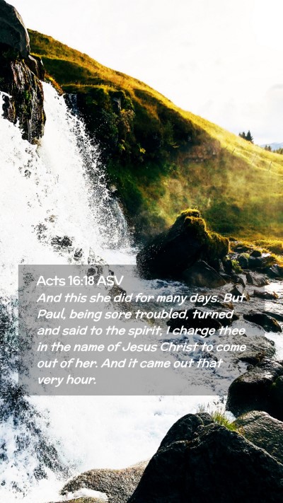 Picture 02 - Acts 16:18 ASV Mobile Phone Wallpaper - And this she did for many days. But Paul, being - Mobile Bible Verse Wallpaper