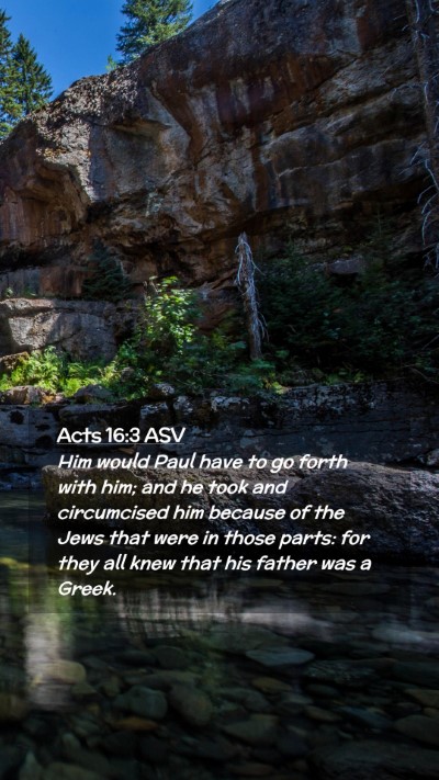 Picture 02 - Acts 16:3 ASV Mobile Phone Wallpaper - Him would Paul have to go forth with him; and he - Mobile Bible Verse Wallpaper