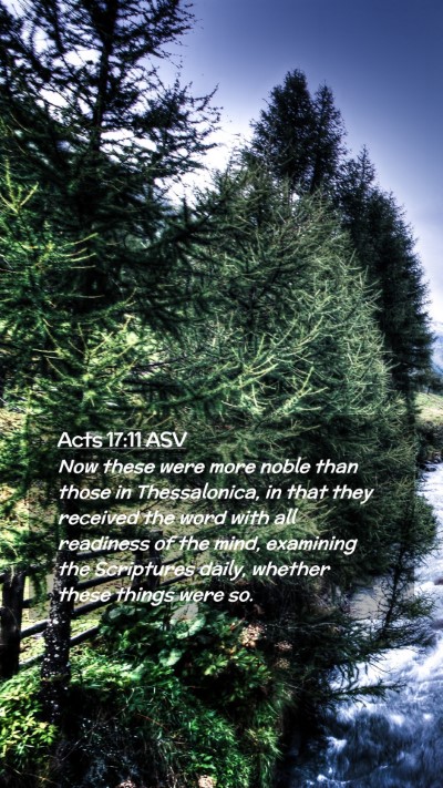 Picture 02 - Acts 17:11 ASV Mobile Phone Wallpaper - Now these were more noble than those in - Mobile Bible Verse Wallpaper