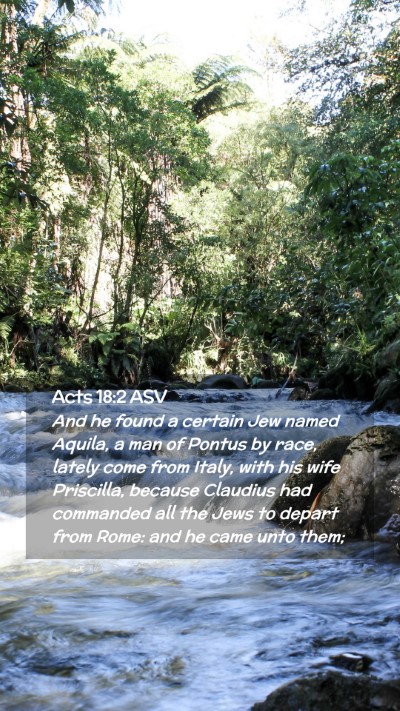 Picture 02 - Acts 18:2 ASV Mobile Phone Wallpaper - And he found a certain Jew named Aquila, a man of - Mobile Bible Verse Wallpaper