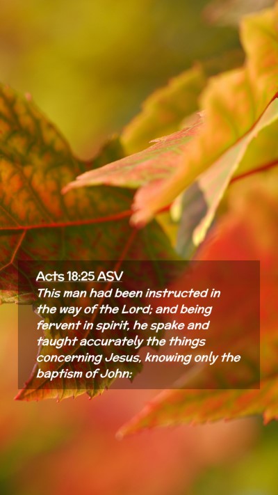 Picture 02 - Acts 18:25 ASV Mobile Phone Wallpaper - This man had been instructed in the way of the - Mobile Bible Verse Wallpaper