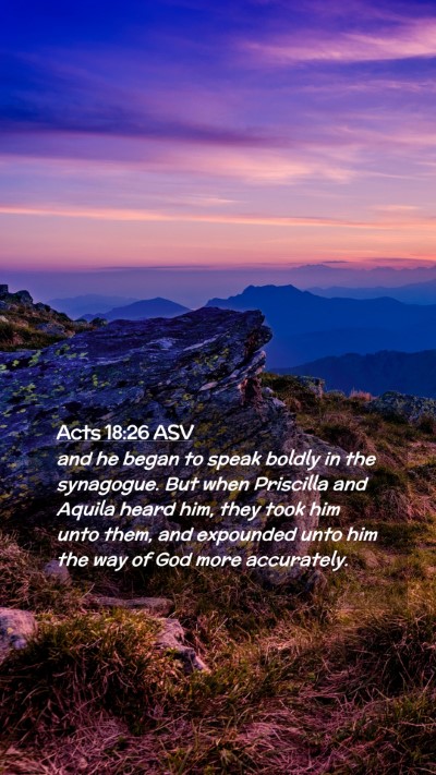 Picture 02 - Acts 18:26 ASV Mobile Phone Wallpaper - and he began to speak boldly in the synagogue. - Mobile Bible Verse Wallpaper