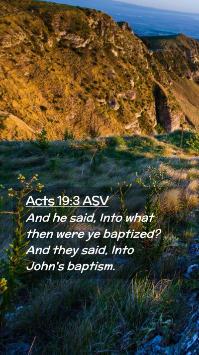 Picture 02 - Acts 19:3 ASV Mobile Phone Wallpaper - And he said, Into what then were ye baptized? And - Mobile Bible Verse Wallpaper