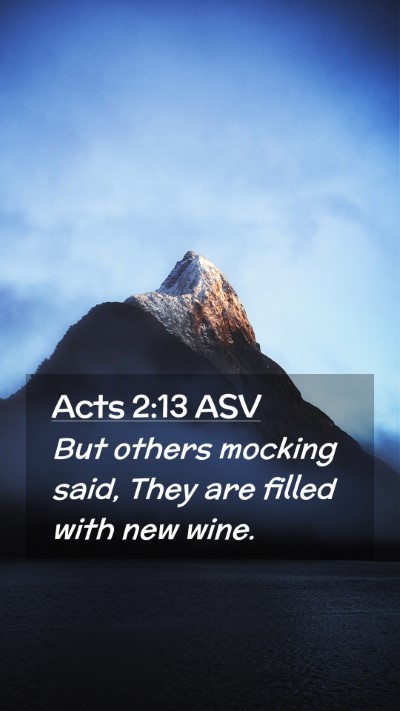 Picture 02 - Acts 2:13 ASV Mobile Phone Wallpaper - But others mocking said, They are filled with new - Mobile Bible Verse Wallpaper