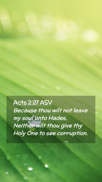 Picture 02 - Acts 2:27 ASV Mobile Phone Wallpaper - Because thou wilt not leave my soul unto Hades, - Mobile Bible Verse Wallpaper