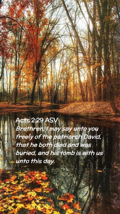 Picture 02 - Acts 2:29 ASV Mobile Phone Wallpaper - Brethren, I may say unto you freely of the - Mobile Bible Verse Wallpaper