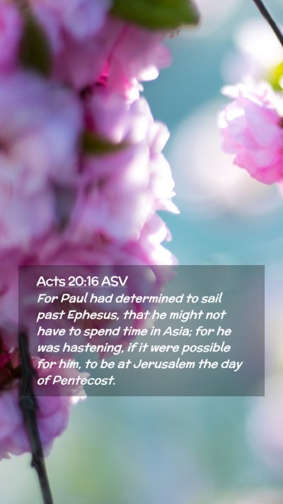 Picture 02 - Acts 20:16 ASV Mobile Phone Wallpaper - For Paul had determined to sail past Ephesus, - Mobile Bible Verse Wallpaper