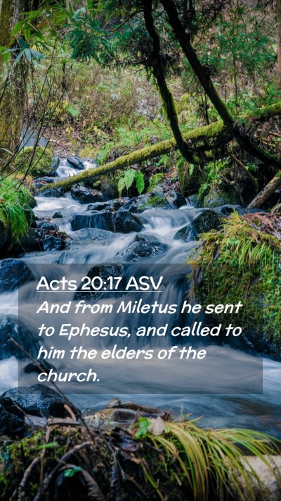 Picture 02 - Acts 20:17 ASV Mobile Phone Wallpaper - And from Miletus he sent to Ephesus, and called - Mobile Bible Verse Wallpaper