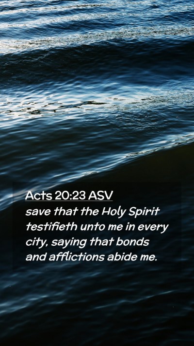 Picture 02 - Acts 20:23 ASV Mobile Phone Wallpaper - save that the Holy Spirit testifieth unto me in - Mobile Bible Verse Wallpaper