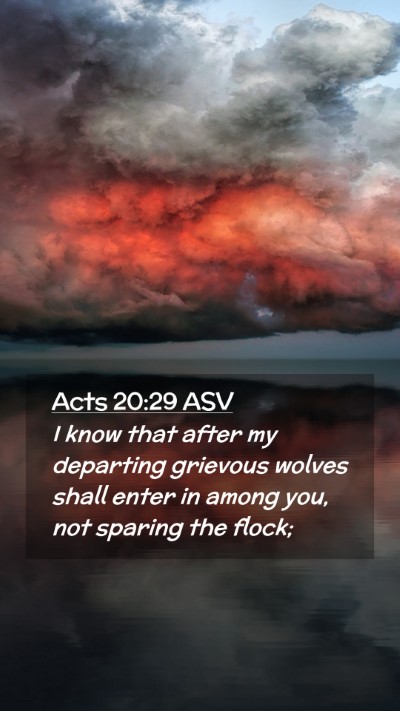 Picture 02 - Acts 20:29 ASV Mobile Phone Wallpaper - I know that after my departing grievous wolves - Mobile Bible Verse Wallpaper