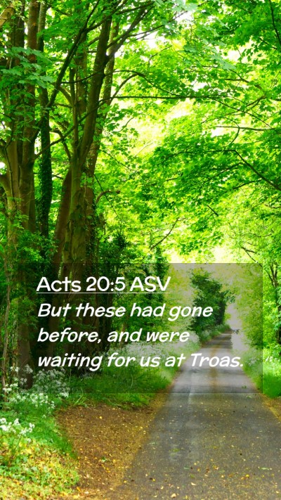 Picture 02 - Acts 20:5 ASV Mobile Phone Wallpaper - But these had gone before, and were waiting for - Mobile Bible Verse Wallpaper