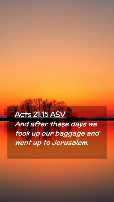 Picture 02 - Acts 21:15 ASV Mobile Phone Wallpaper - And after these days we took up our baggage and - Mobile Bible Verse Wallpaper