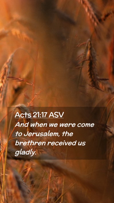 Picture 02 - Acts 21:17 ASV Mobile Phone Wallpaper - And when we were come to Jerusalem, the brethren - Mobile Bible Verse Wallpaper