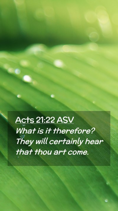 Picture 02 - Acts 21:22 ASV Mobile Phone Wallpaper - What is it therefore? They will certainly hear - Mobile Bible Verse Wallpaper