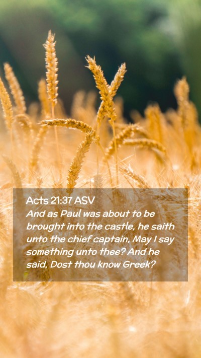 Picture 02 - Acts 21:37 ASV Mobile Phone Wallpaper - And as Paul was about to be brought into the - Mobile Bible Verse Wallpaper