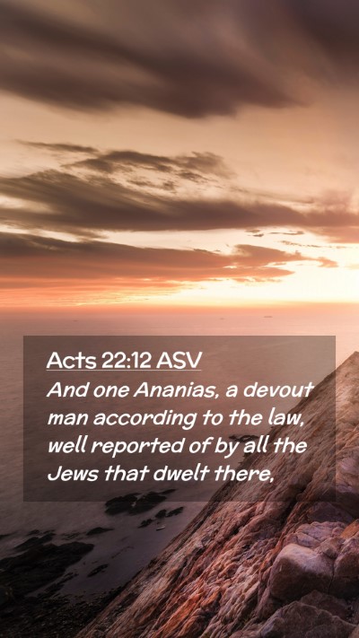 Picture 02 - Acts 22:12 ASV Mobile Phone Wallpaper - And one Ananias, a devout man according to the - Mobile Bible Verse Wallpaper