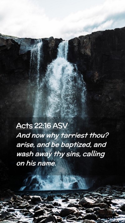 Picture 02 - Acts 22:16 ASV Mobile Phone Wallpaper - And now why tarriest thou? arise, and be - Mobile Bible Verse Wallpaper