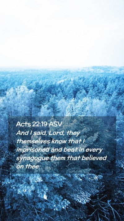 Picture 02 - Acts 22:19 ASV Mobile Phone Wallpaper - And I said, Lord, they themselves know that I - Mobile Bible Verse Wallpaper