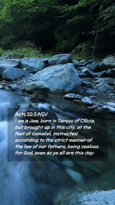 Picture 02 - Acts 22:3 ASV Mobile Phone Wallpaper - I am a Jew, born in Tarsus of Cilicia, but - Mobile Bible Verse Wallpaper