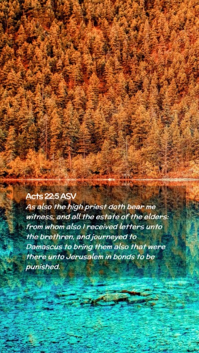 Picture 02 - Acts 22:5 ASV Mobile Phone Wallpaper - As also the high priest doth bear me witness, and - Mobile Bible Verse Wallpaper