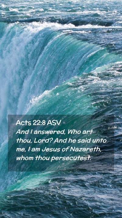 Picture 02 - Acts 22:8 ASV Mobile Phone Wallpaper - And I answered, Who art thou, Lord? And he said - Mobile Bible Verse Wallpaper
