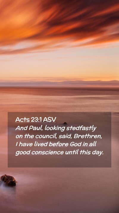 Picture 02 - Acts 23:1 ASV Mobile Phone Wallpaper - And Paul, looking stedfastly on the council, - Mobile Bible Verse Wallpaper