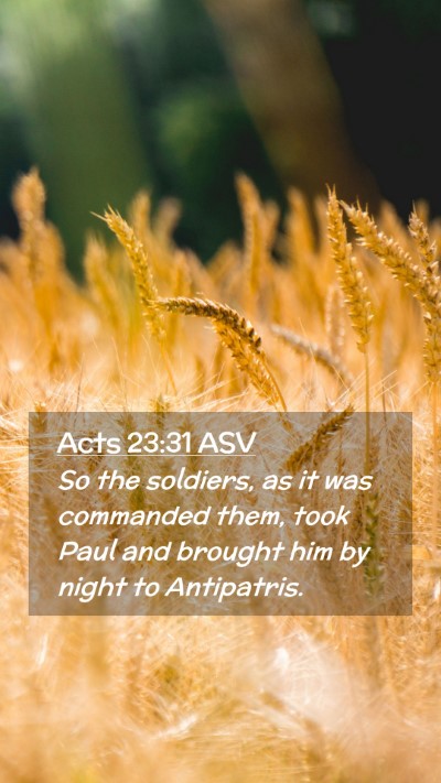 Picture 02 - Acts 23:31 ASV Mobile Phone Wallpaper - So the soldiers, as it was commanded them, took - Mobile Bible Verse Wallpaper