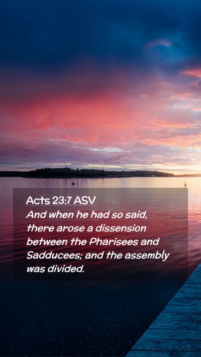 Picture 02 - Acts 23:7 ASV Mobile Phone Wallpaper - And when he had so said, there arose a dissension - Mobile Bible Verse Wallpaper